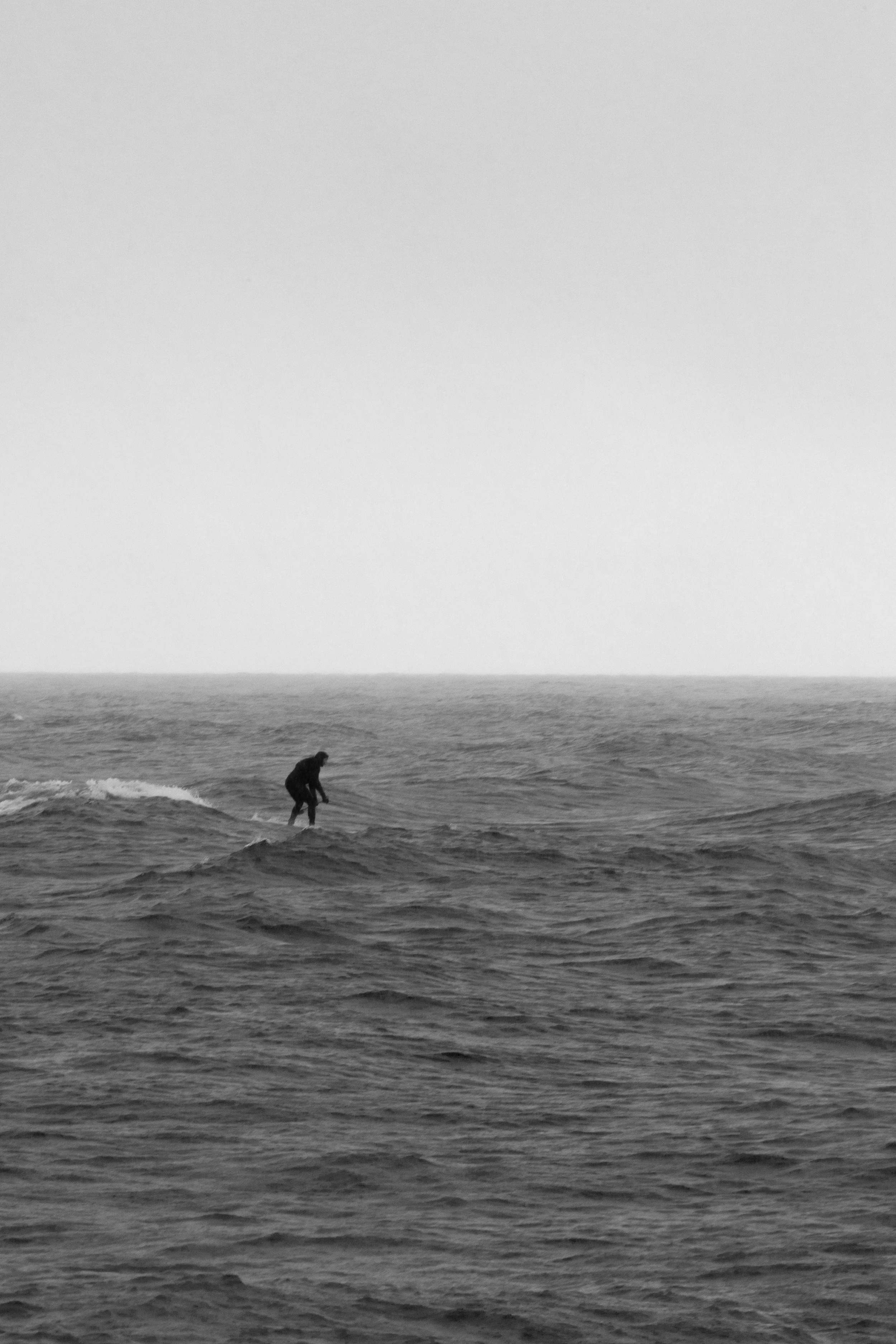 surf 2746.jpg