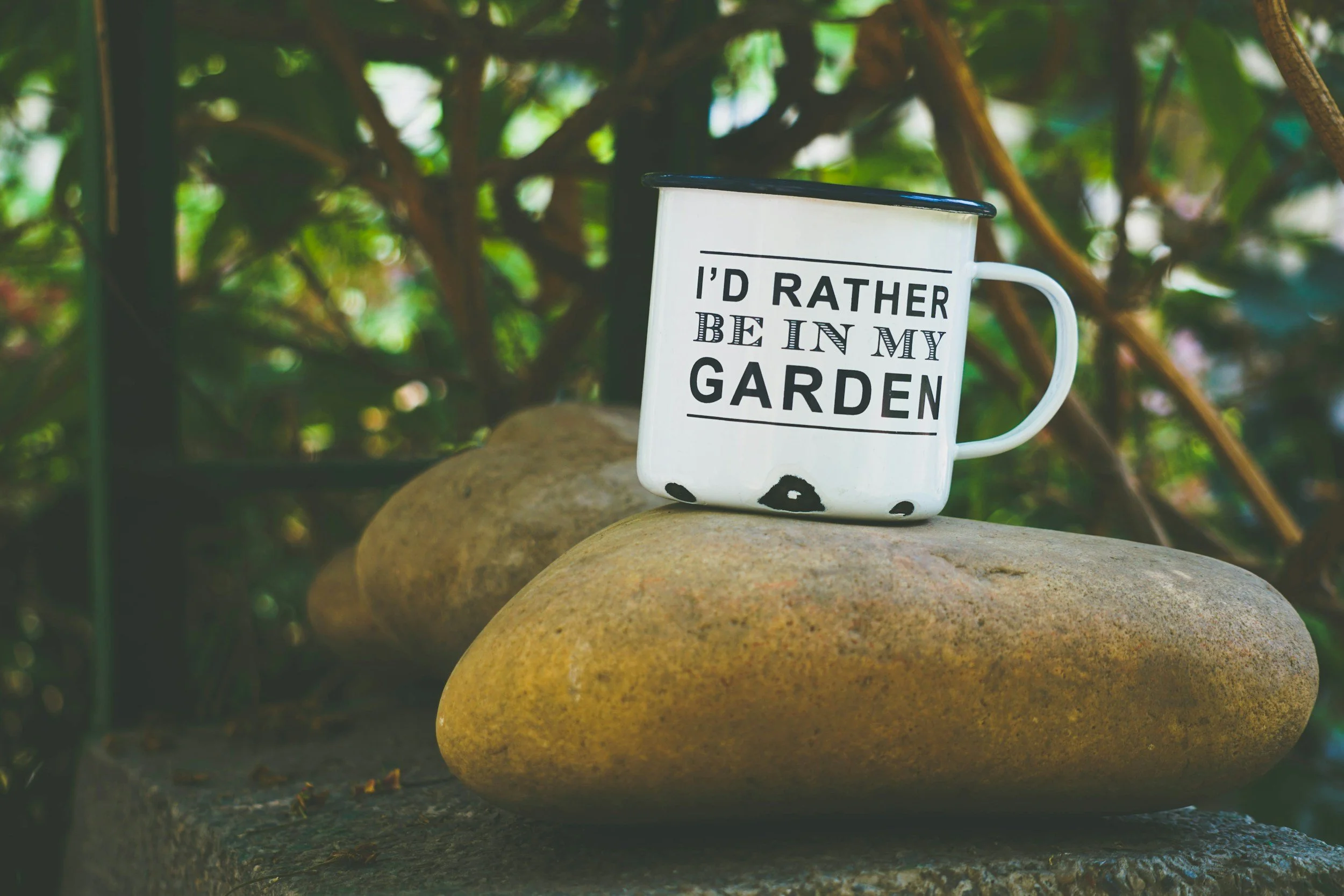 a picture from a digital content creator of a a cup sitting on a rock and saying, "I'd rather be in my garden."