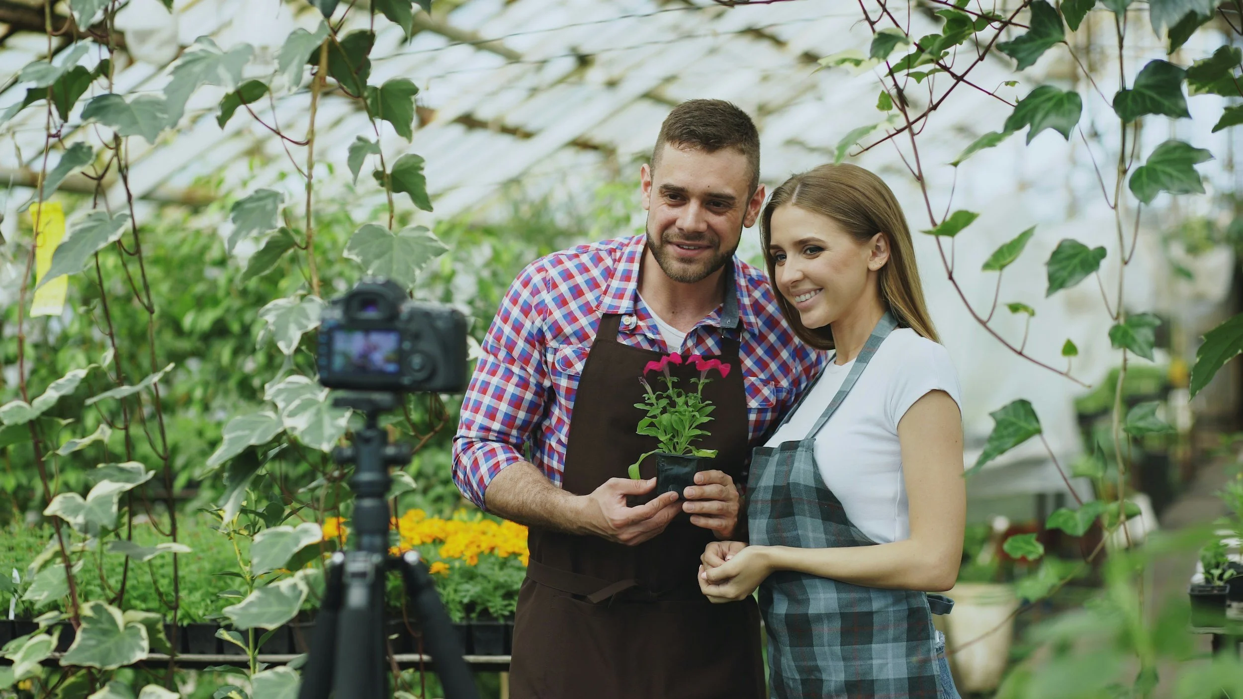 Marketing for Garden Centers, Wineries, Agritourism: Here’s What to Do with a Tight Budget