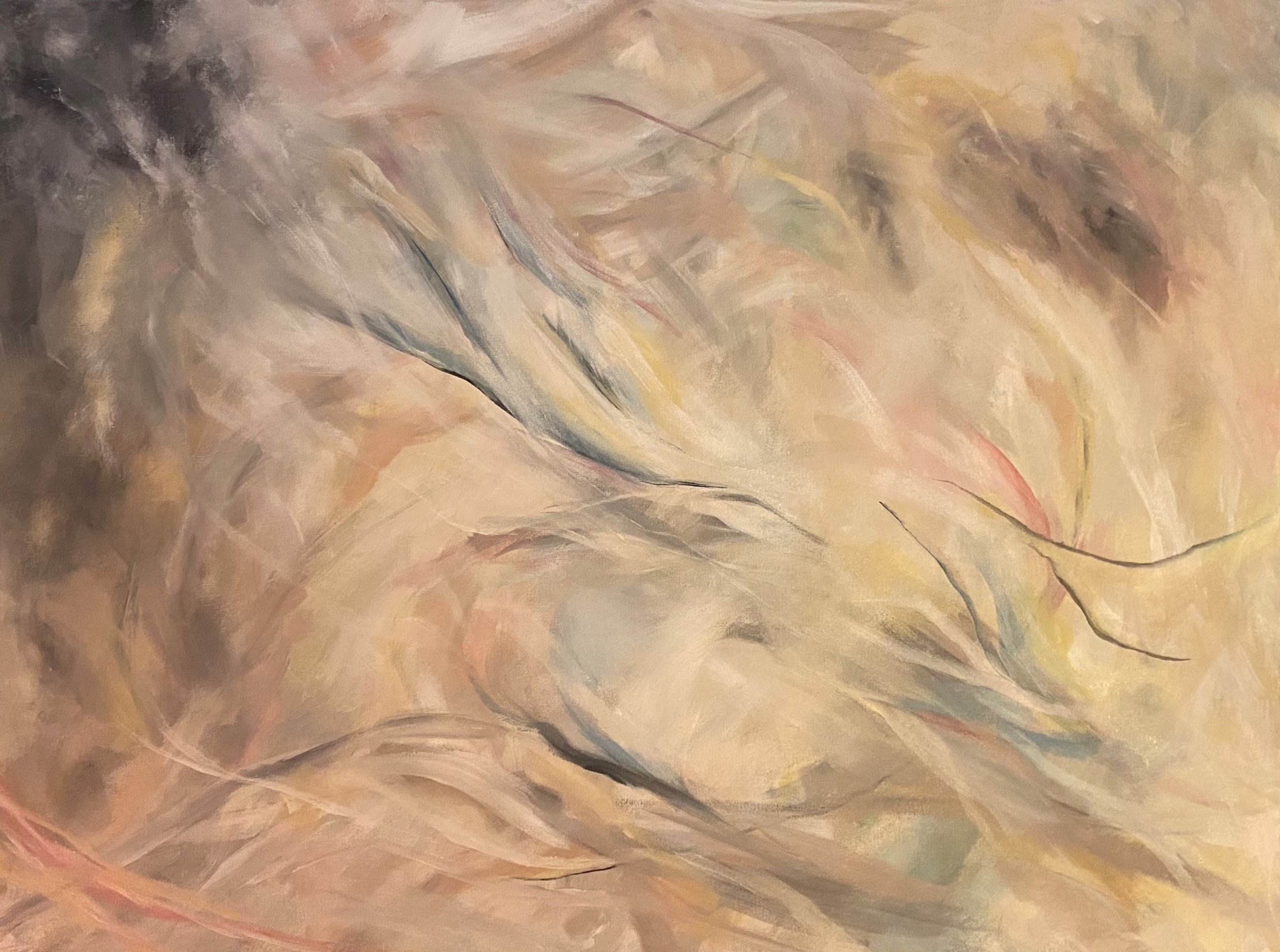 Untitled - 2020 - Acrylic on canvas - 80x60cm Sold