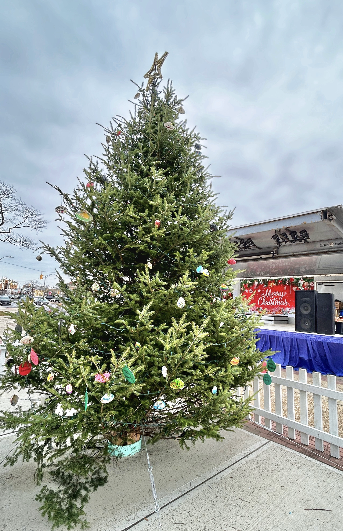 Holiday Tree -December 5th 2025