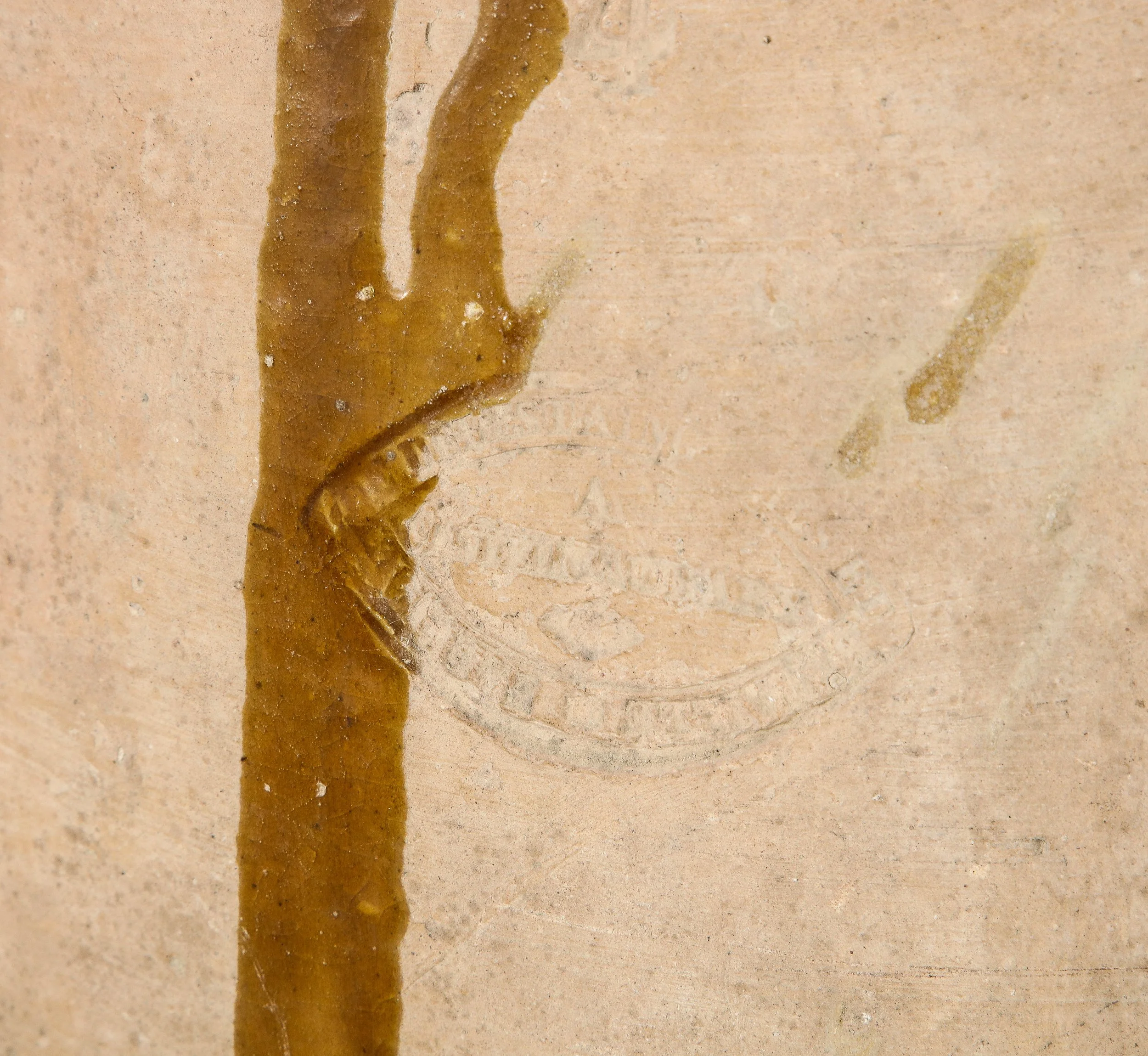 6R1A4395.jpg