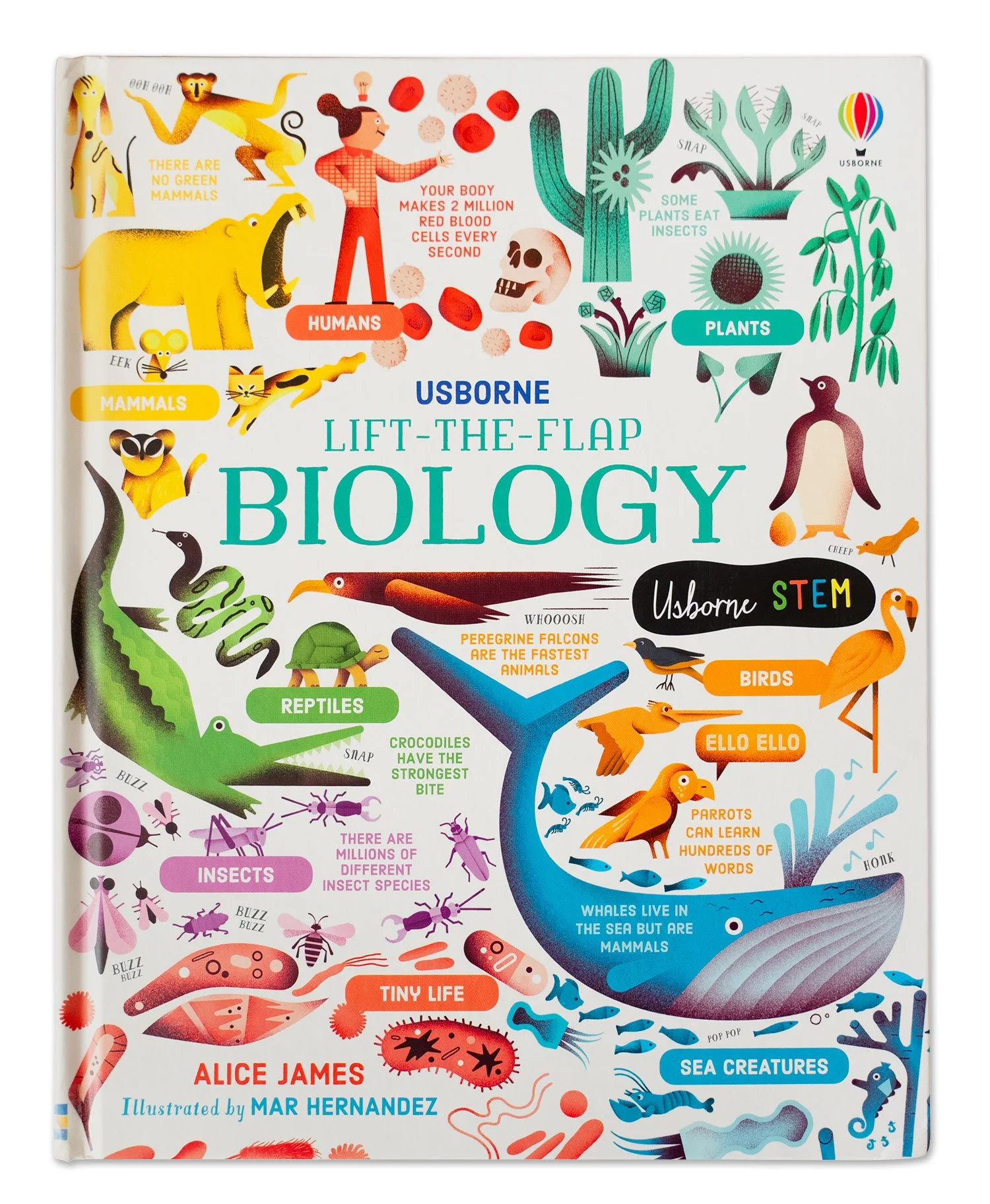 malota-biology-01.jpg