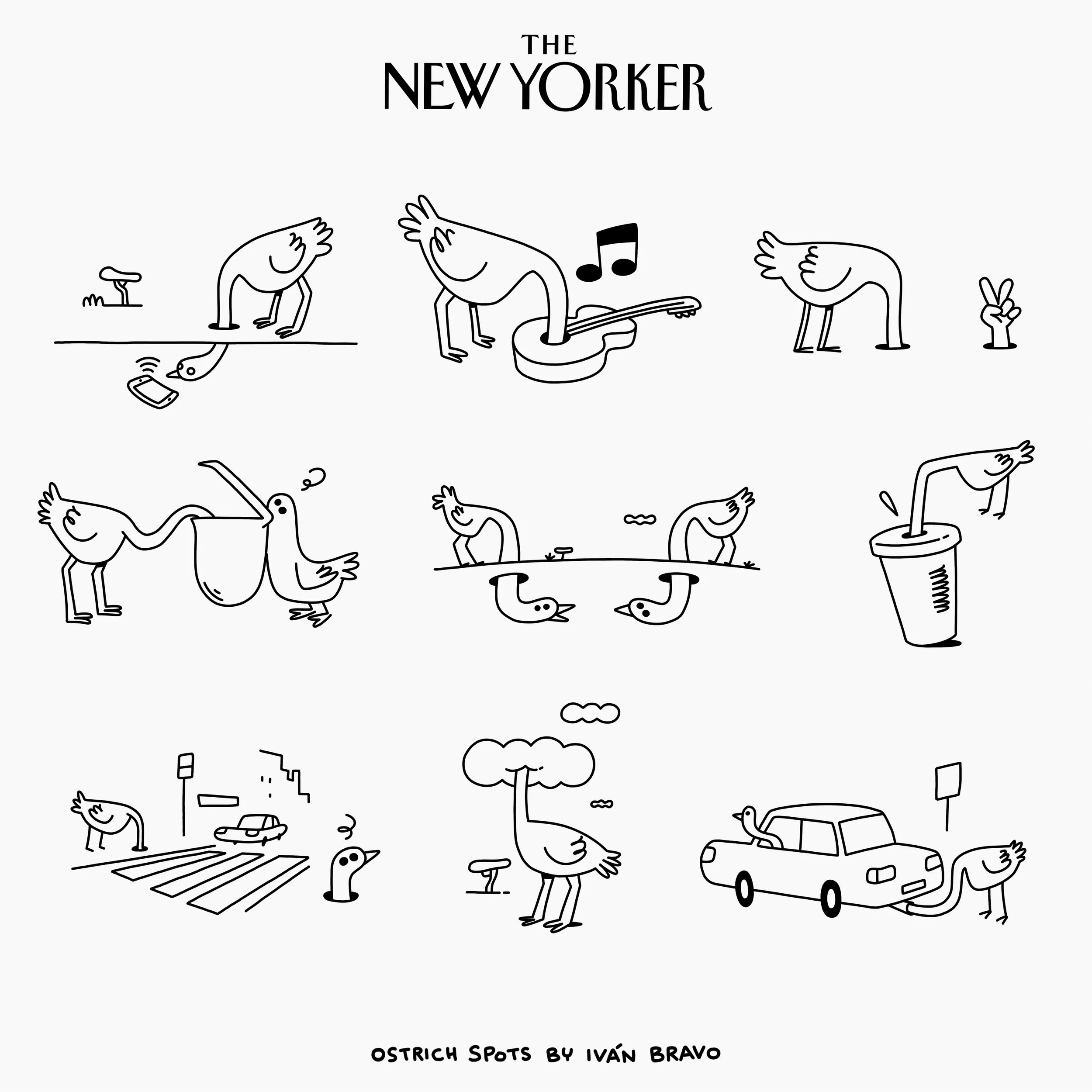 Ivan Bravo for The New Yorker