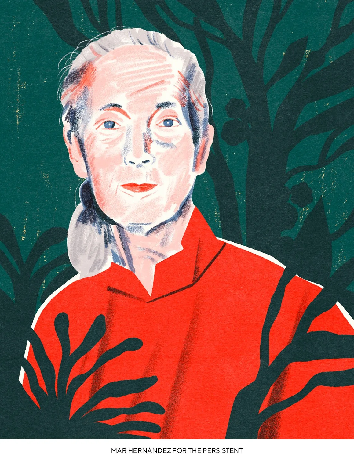 Malota_Jane_Goodall.jpg