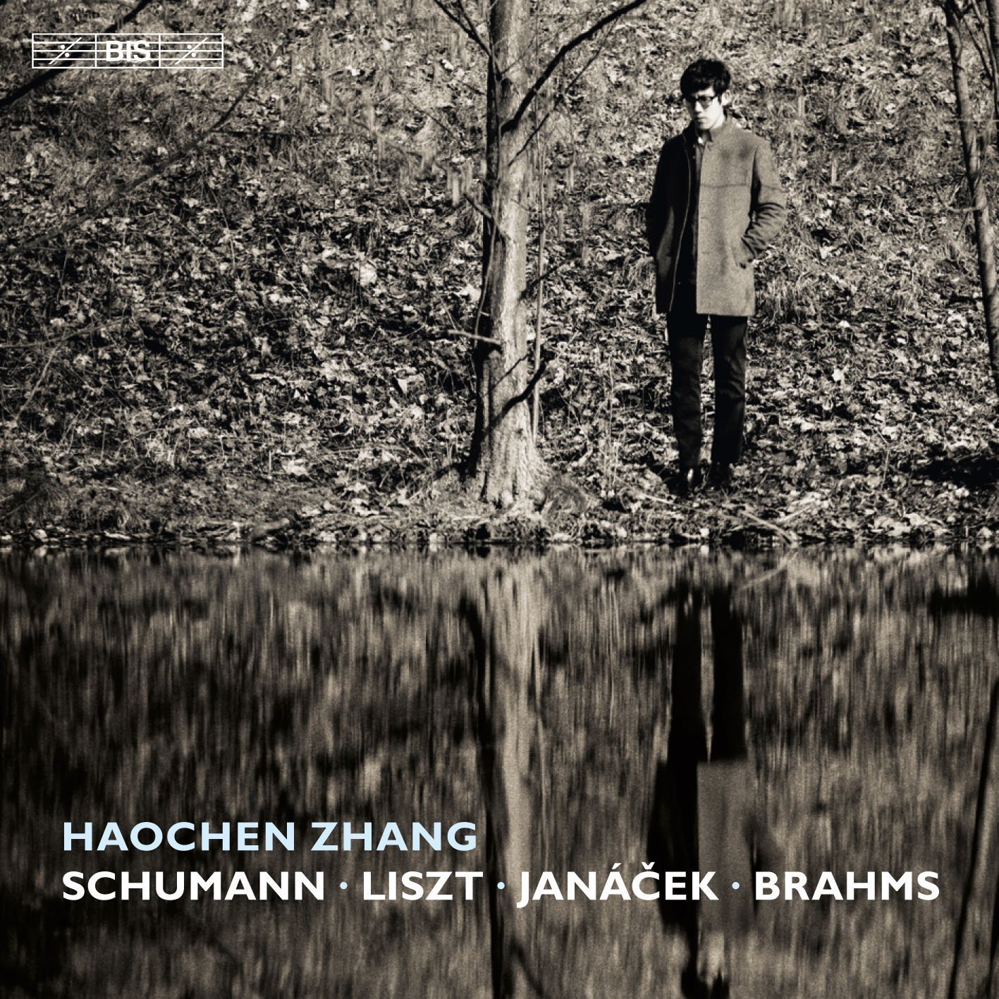 Schumann, Liszt, Janáček &amp; Brahms: Piano Works (Copy)