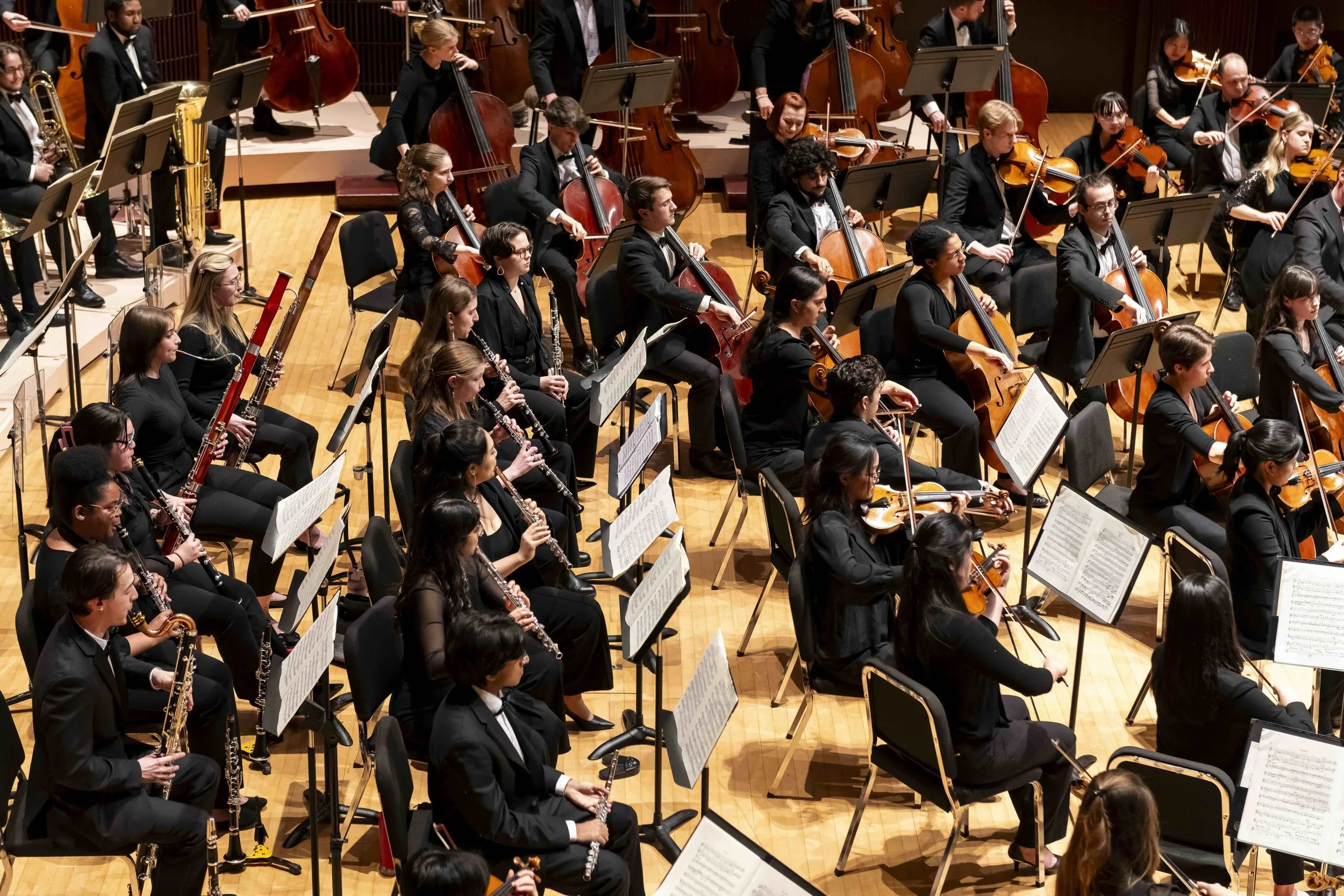 Symphony_Orchestra_Cristian_Mӑcelaru_0505 copy.jpeg