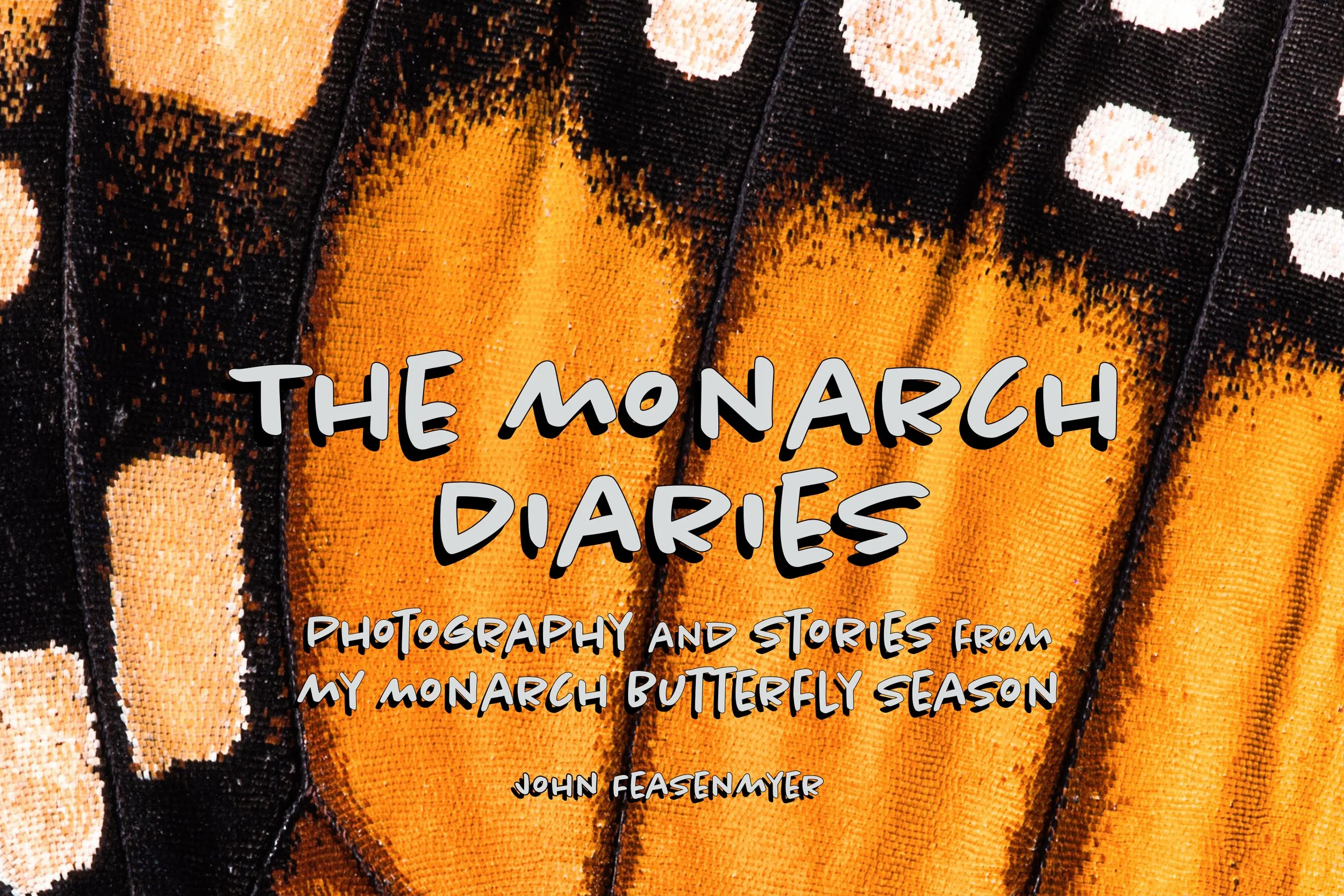 The Monarch Diaries Ebook