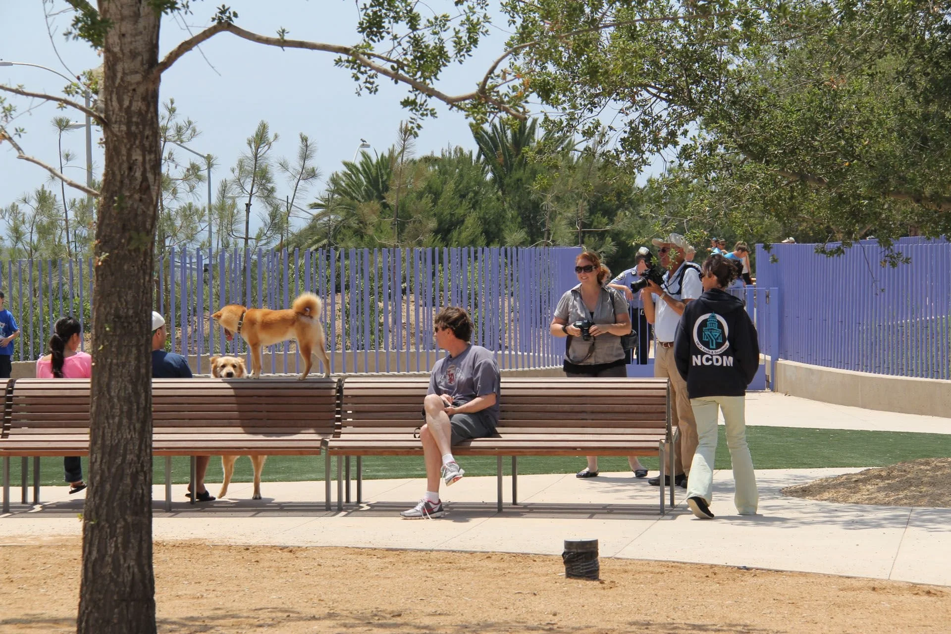 Benches, Newport Beach CA _ Blank and Cables.jfif