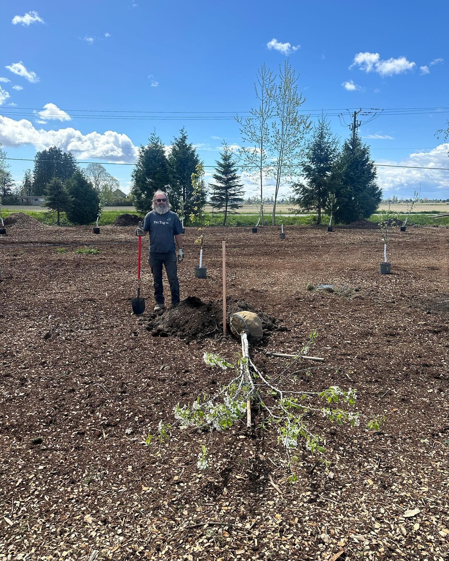 Our old parking lot, right next to the Schoolhouse, has been transformed into the most beautiful little orchard. Thank you Ryan for all of your hard work and doing such an amazing job planting each tree! There are some gaps to fill in very soon with 