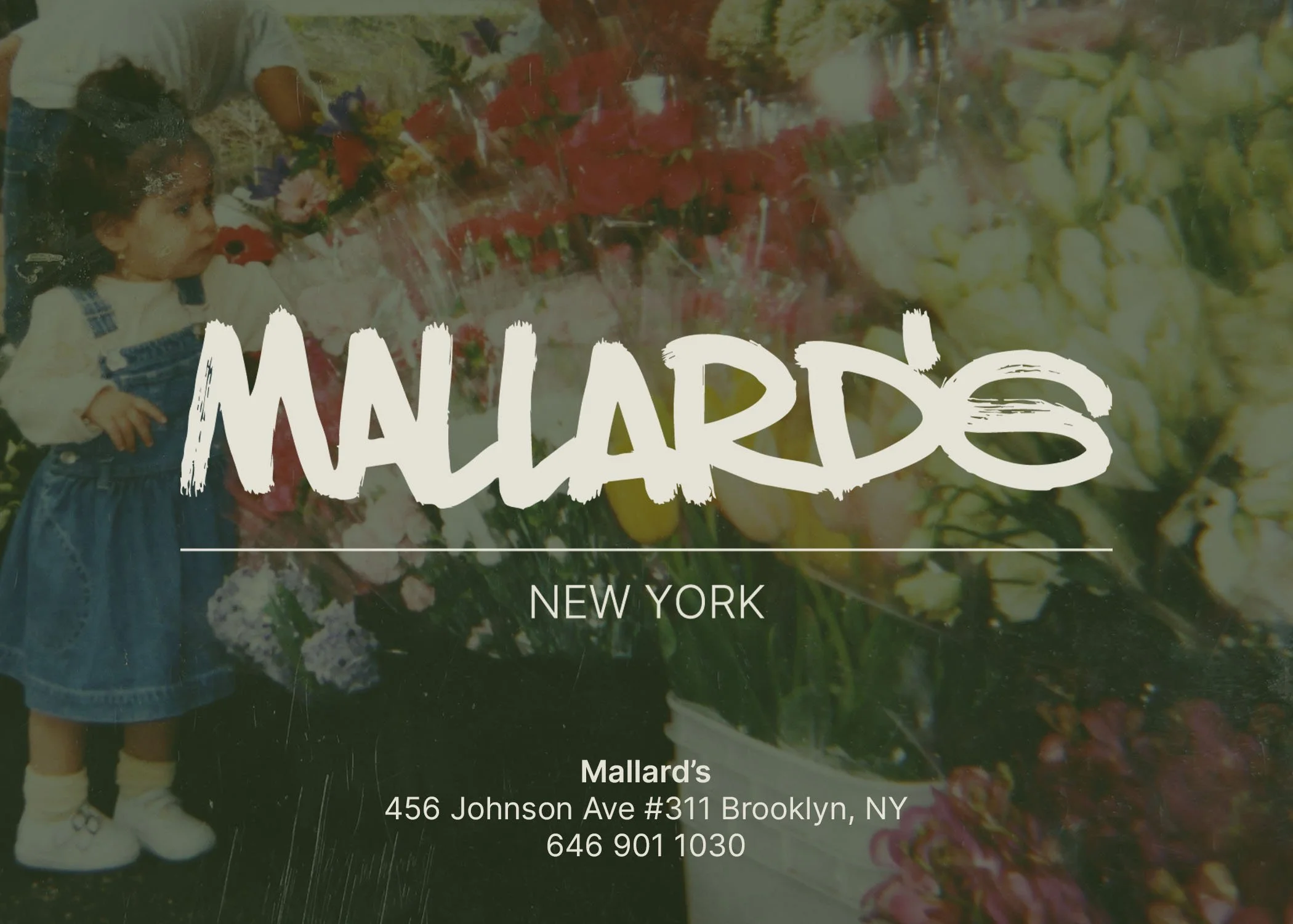 mallard's - brand identity