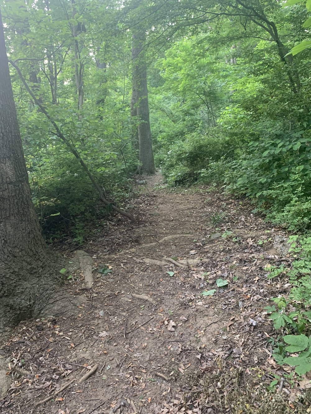 Photos — Limestone Acres