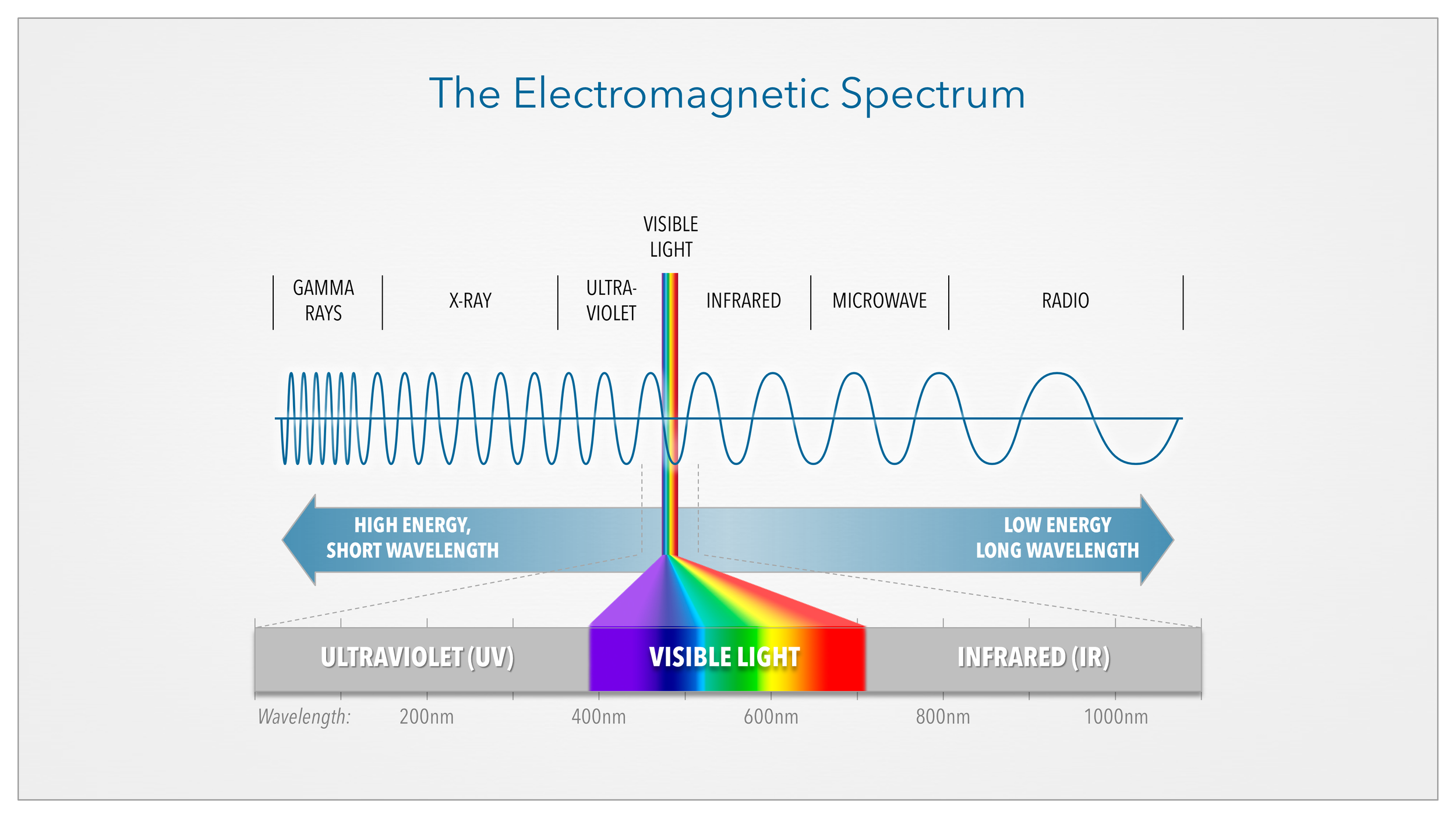 SPECTRUM-01.png