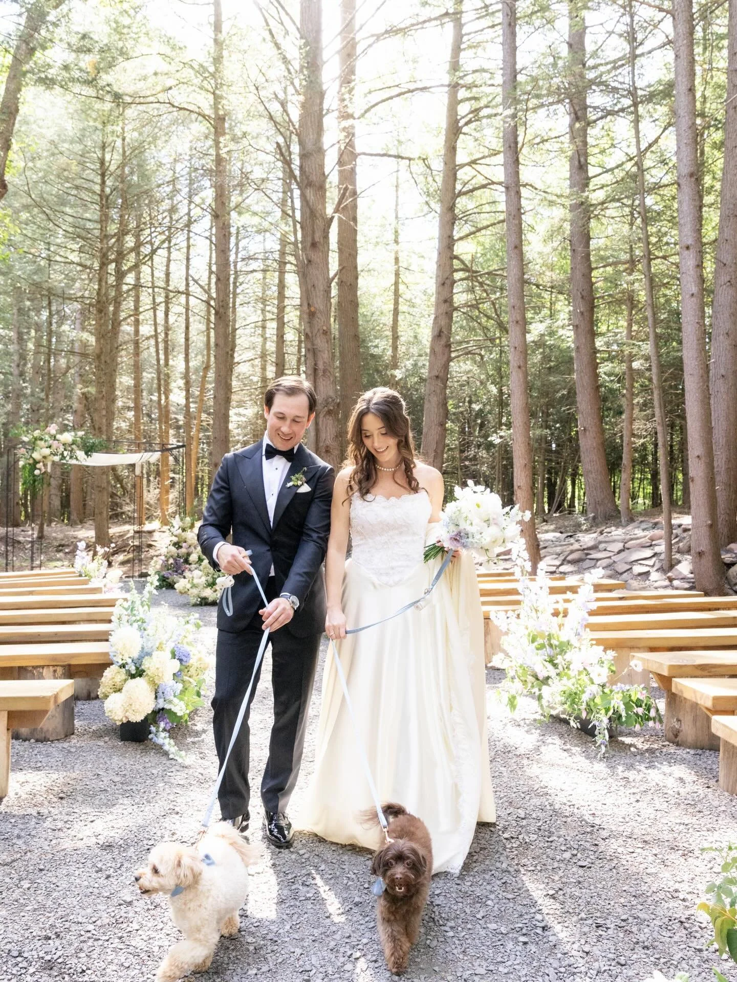 Soft forest light.
Airy romance.
A barn glowing in fairy lights ✨🌿

This ceremony felt like stepping into a dream &mdash; sunlight filtering through the trees, vows carried in the mountain air, and a reception space twinkling with warmth and intenti