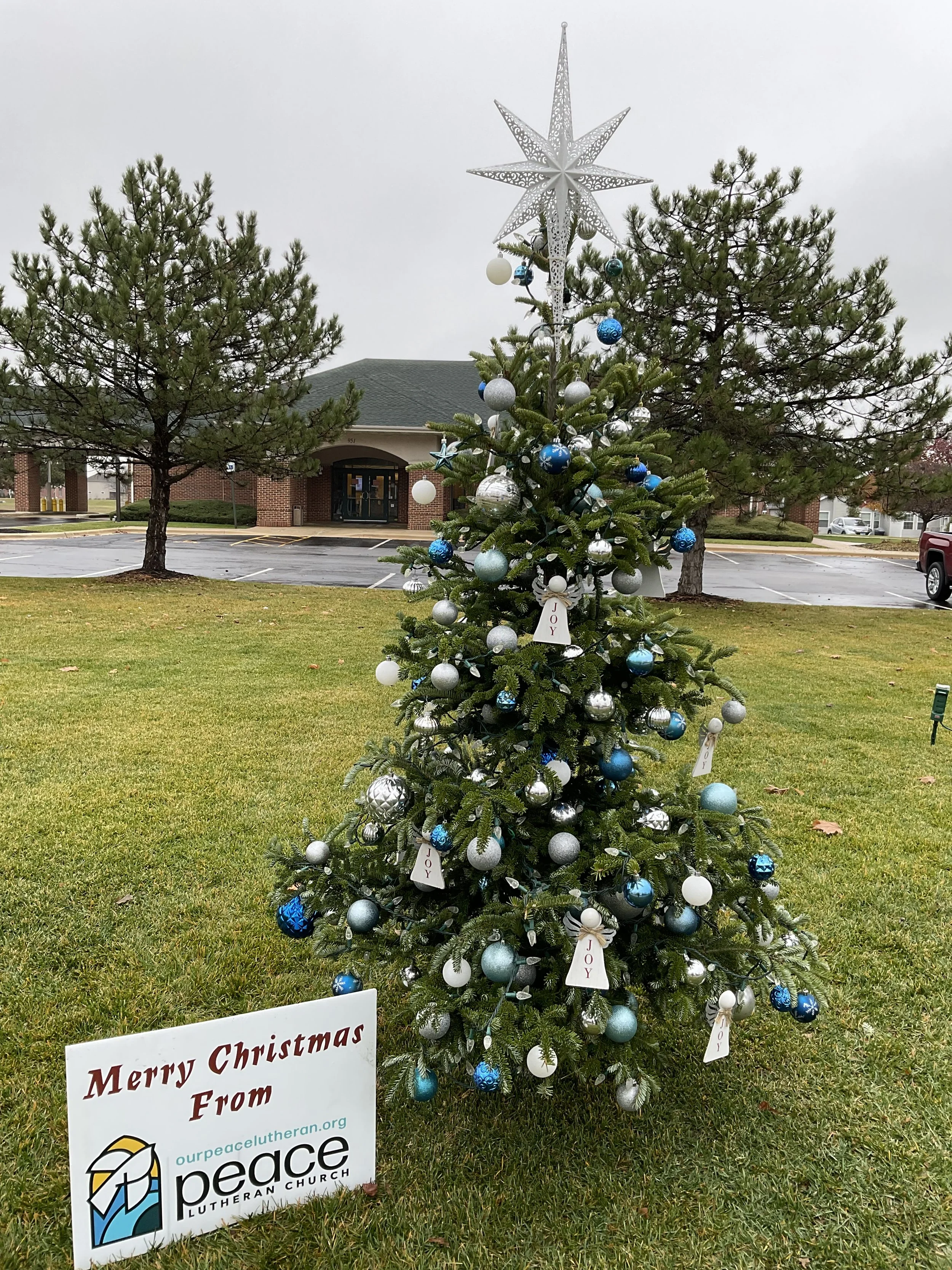 2025 Peace Christmas Tree.jpg