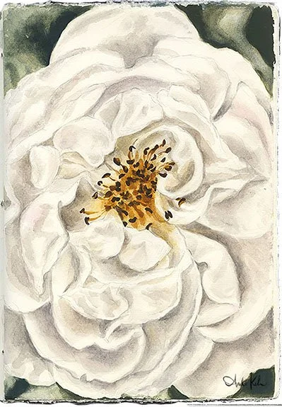 A watercolor painting of a white flower with yellow and black stamens.