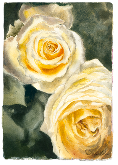 Watercolor painting of two yellow and white roses with green leaves.