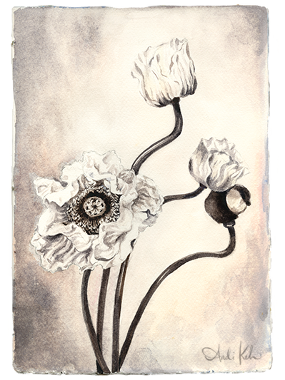 A black and white watercolor painting of a poppy flower with three blooms, one fully open and two buds, against a soft background.