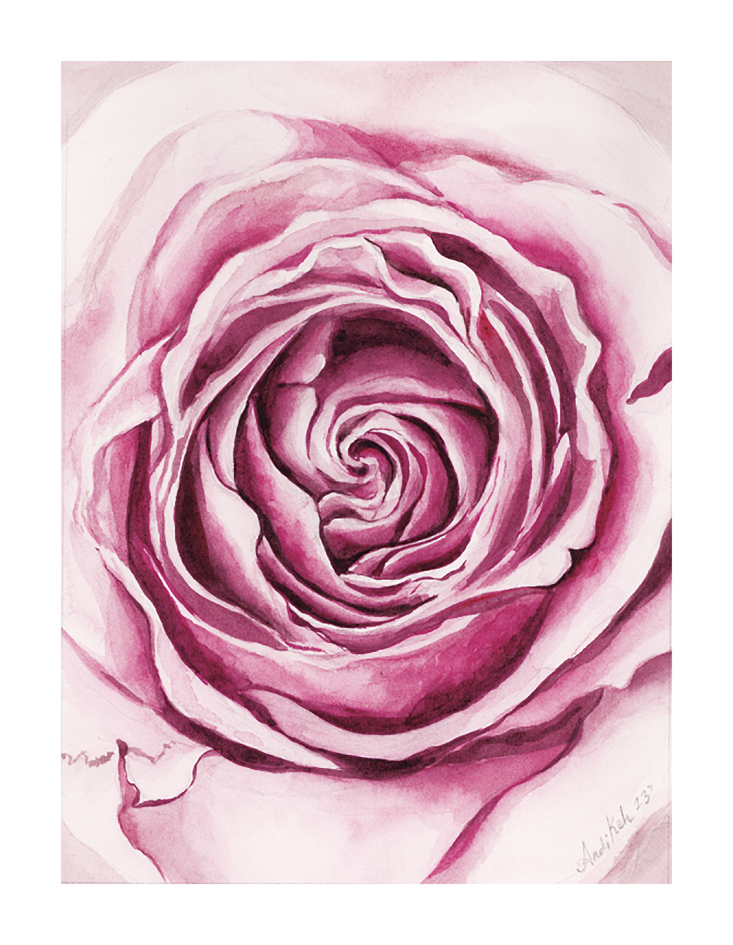 amandas rose website copy.png