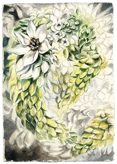 Watercolor painting of white flowers and green foliage.