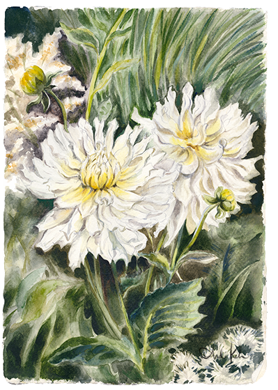 Watercolor painting of white flowers with yellow centers, surrounded by green leaves and foliage.