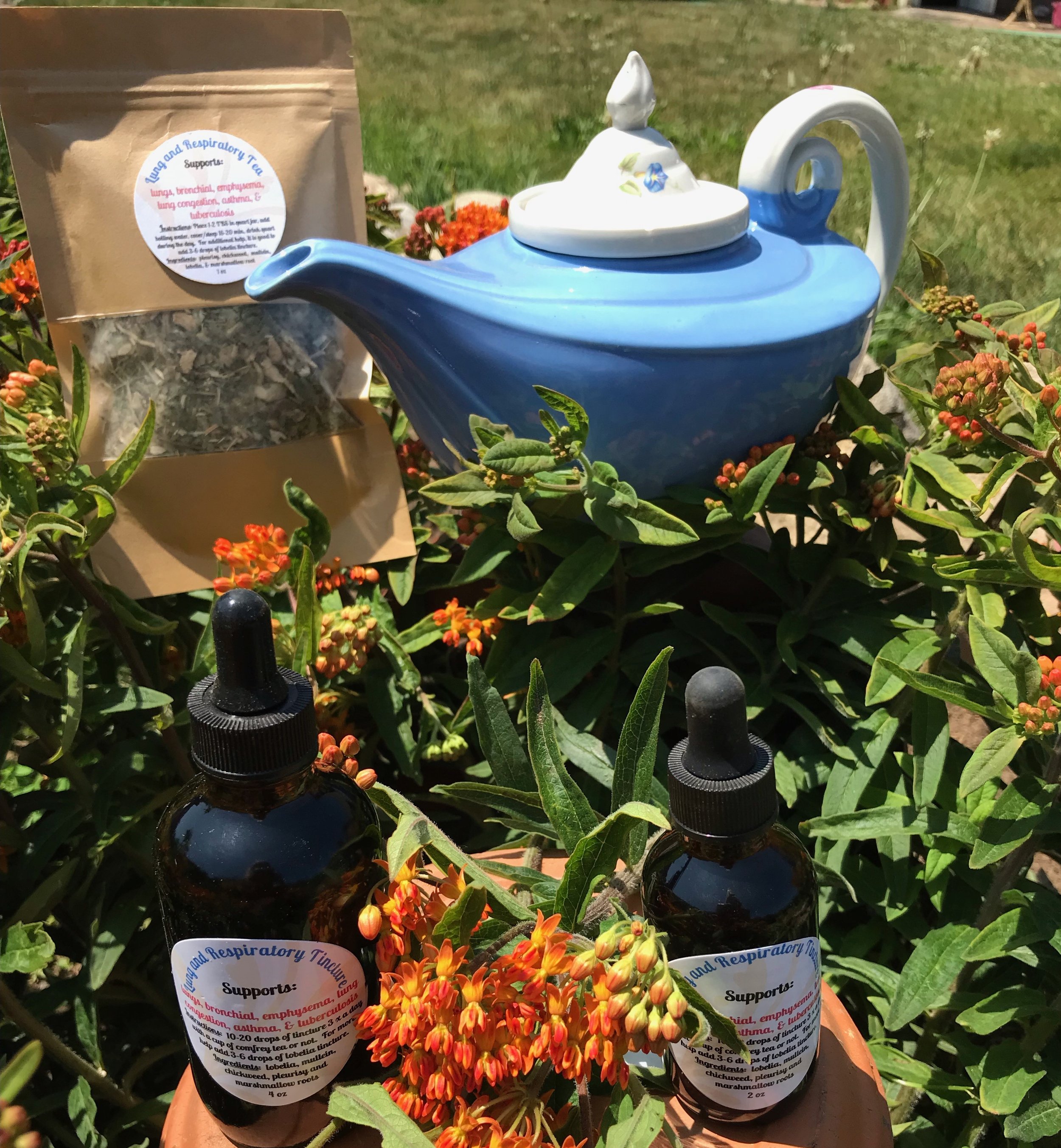 Lung and Respiratory Tea & Tincture 5.jpeg