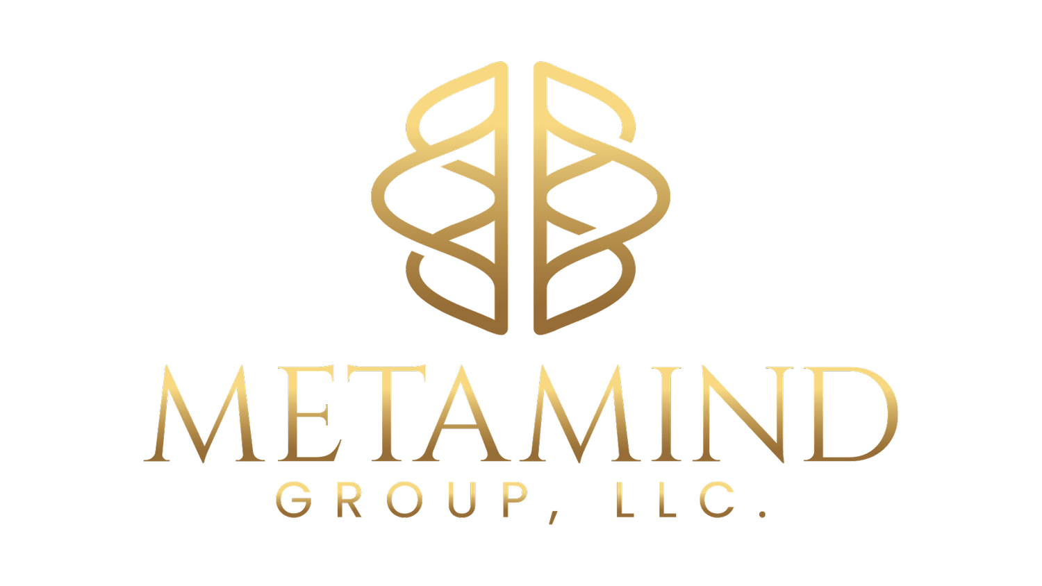 MetaMind Group, LLC