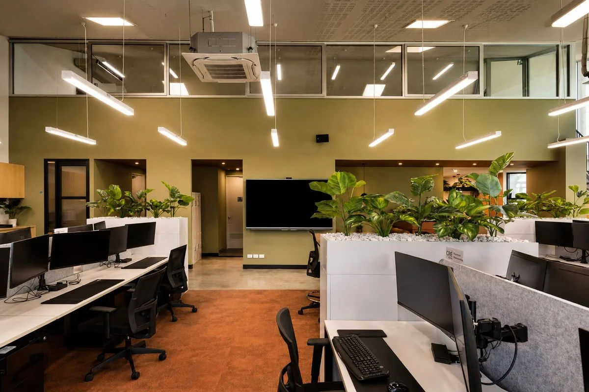Open office space with sage green walls