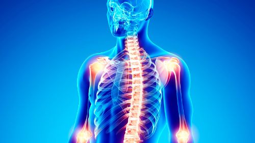 Scottish Pain Pharmacy Network Newsletter: August 2026