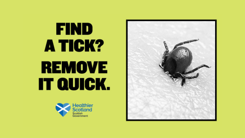 Look Out for Ticks - Lyme Disease Awareness Campaign