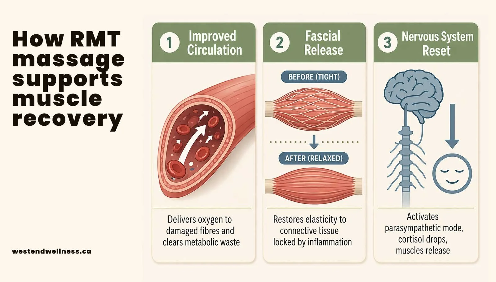 Infographic showing three mechanisms of RMT massage for muscle recovery