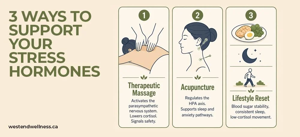Infographic showing three approaches to cortisol support: massage therapy, acupuncture, and lifestyle habits including sleep and nutrition.