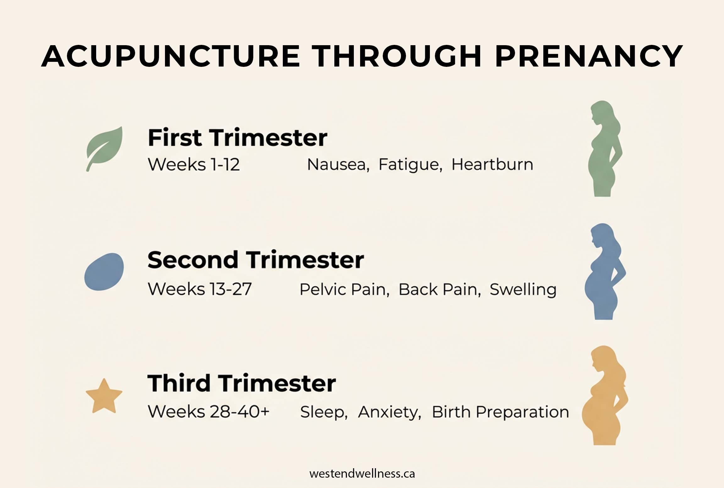 Acupuncture support at each trimester of pregnancy, from nausea in the first to birth preparation in the third