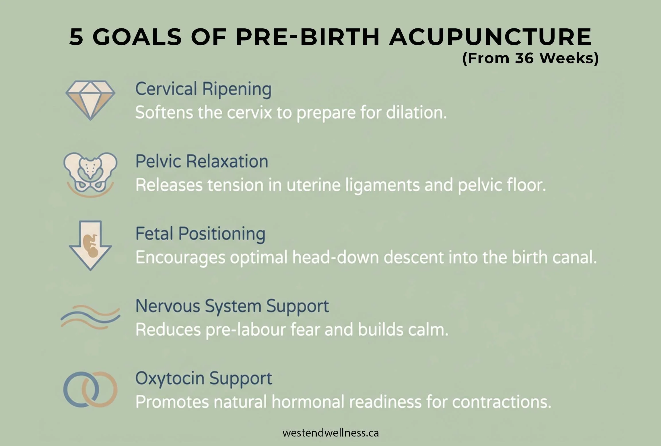 Five goals of pre-birth acupuncture starting at 36 weeks, including cervical ripening, pelvic relaxation, and oxytocin support