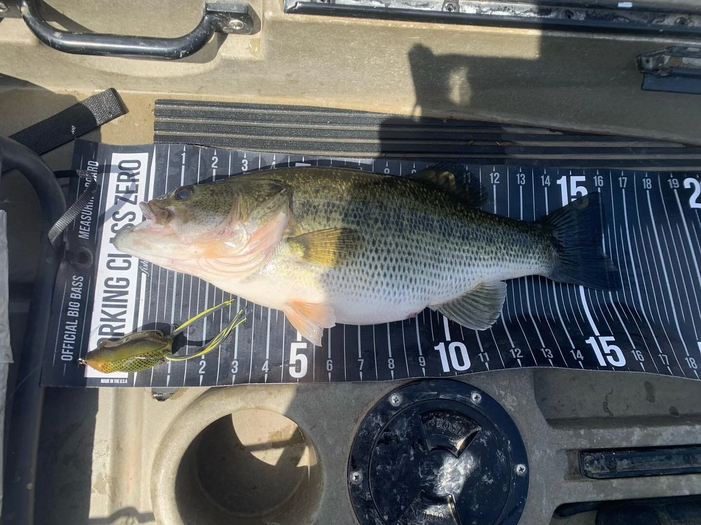 First topwater fish of the year and it a good one. She looks like she&rsquo;s going to pop and got a little guy too #bigbass #workingclasszero #topwaterfishing #frog fishing #fun #swimbait
