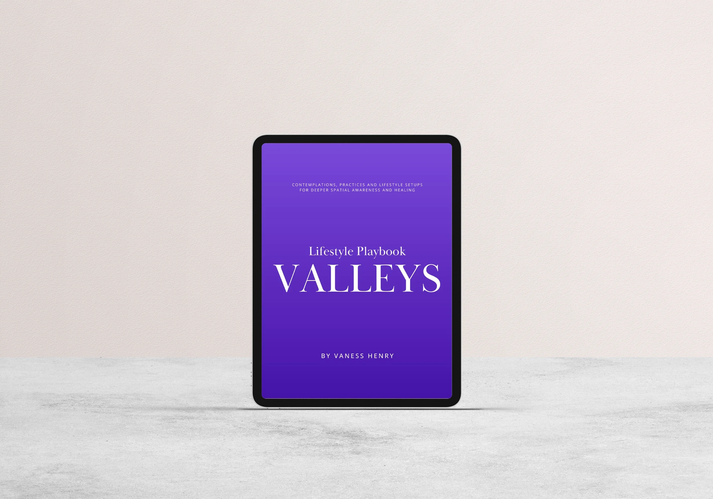 Valleys Playbook Cover.jpg