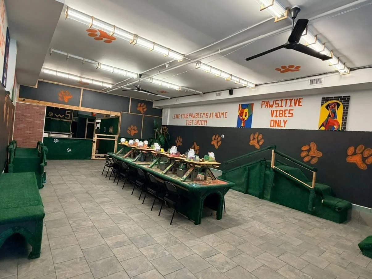 Dog-themed indoor pet cafe with green furniture, paw prints on walls, and banners with dog-related messages.