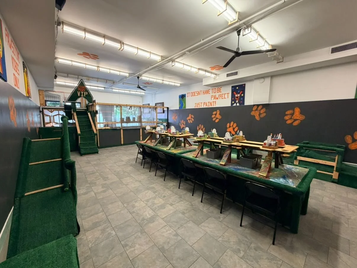 Indoor children's play area with a small slide, climbing ramp, and tables set up for activities, decorated with paw prints and motivational signs on the walls.