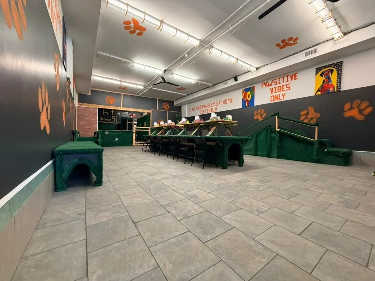 Indoor dog-friendly area with paw print decorations, pet beds, and seating, decorated with colorful dog-themed artwork and signs.