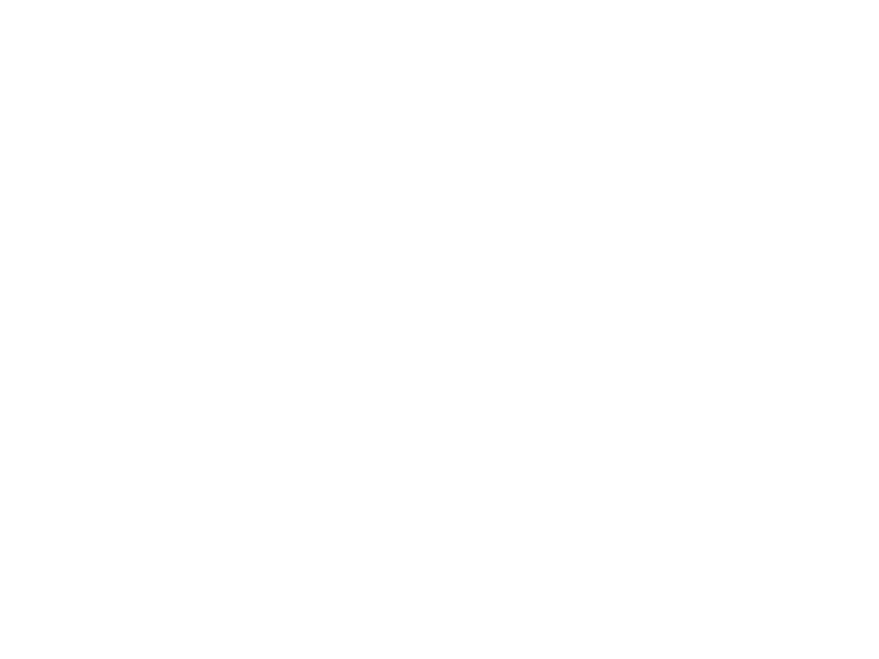 NEMOBOTT