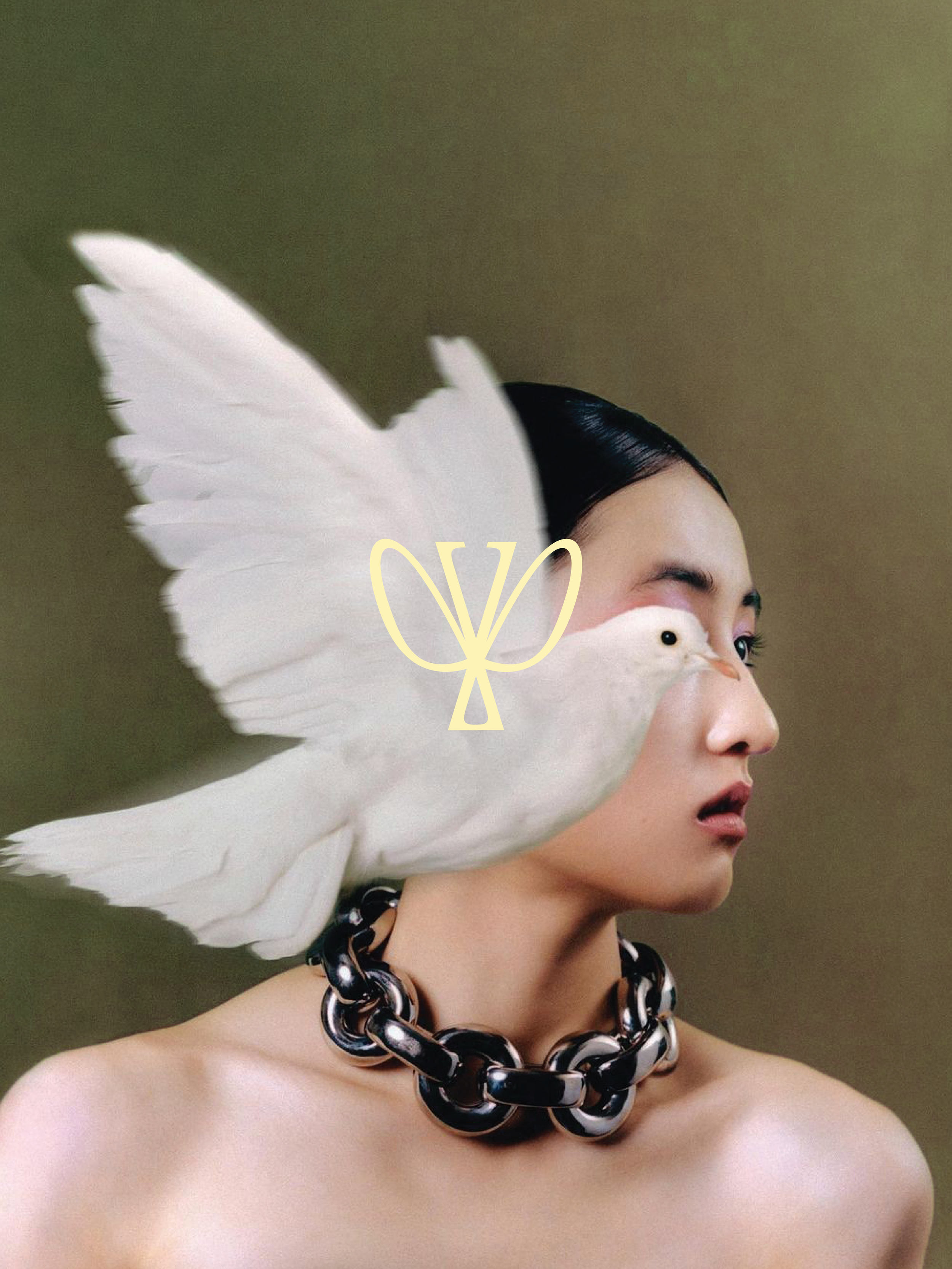 digital diary visuals-03.png