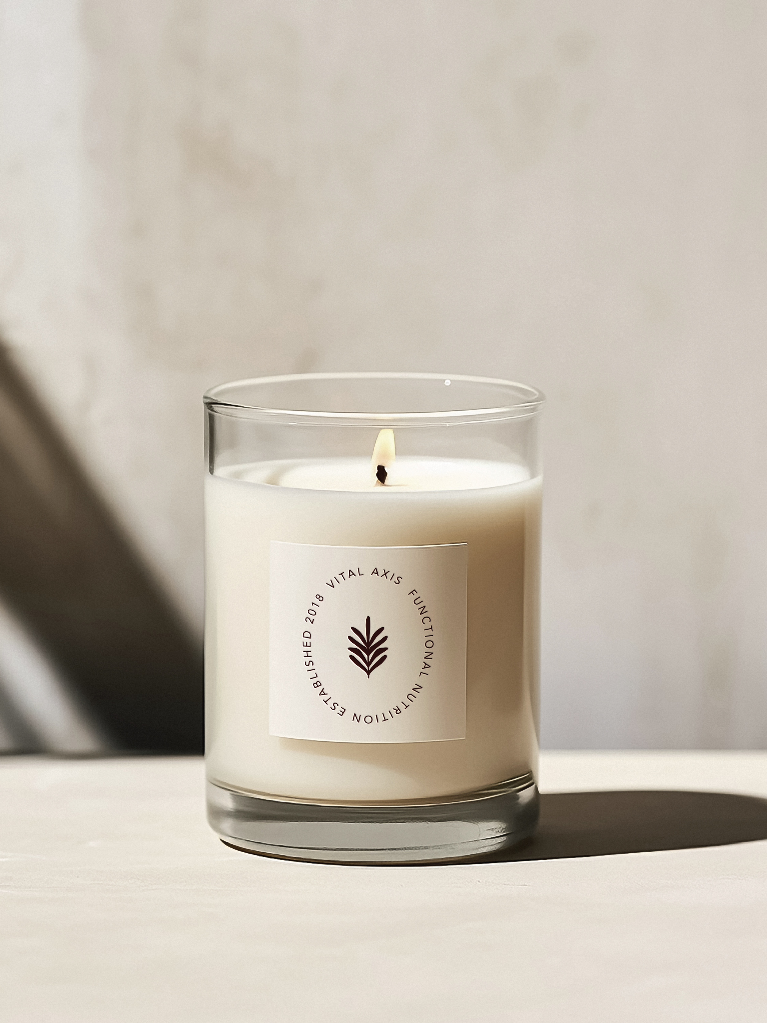 mental health coach, branding, stationery, primary logo, nutrition coach, functional nutrition