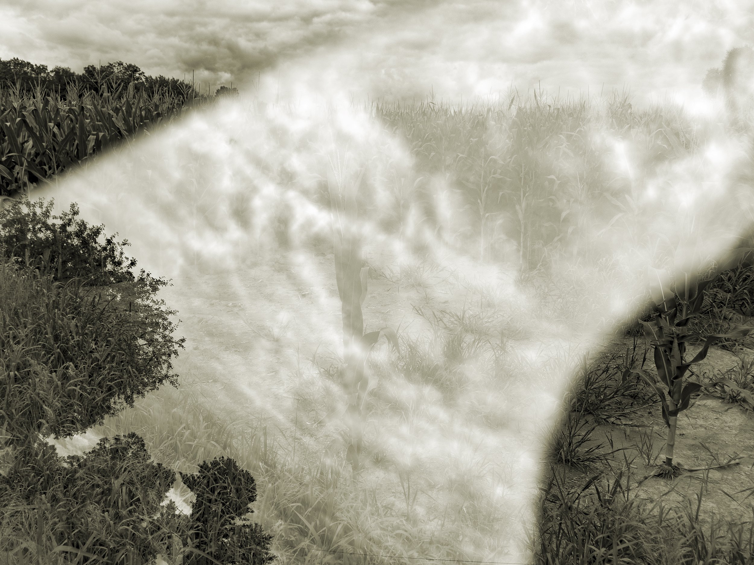 22.08.11.b, Stuyvesant, New York