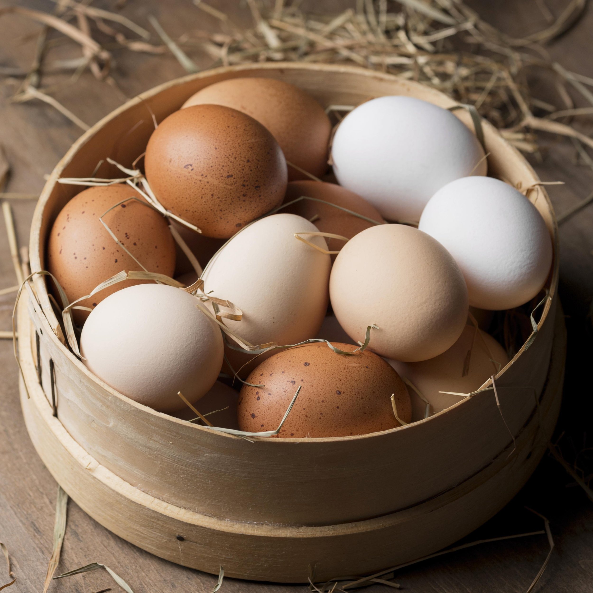 close-up-fresh-chicken-eggs.jpg