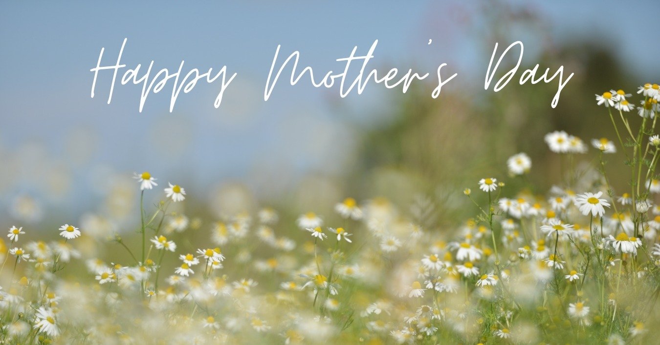 Happy Mother's Day to all the moms in our community. 🩷 Come by our spa for a relaxing day, we have flowers for you! 💐

And, to the mamas behind Hope Floats 💕 thank you for everything you do for our spa and for making our guests feel welcome. We lo