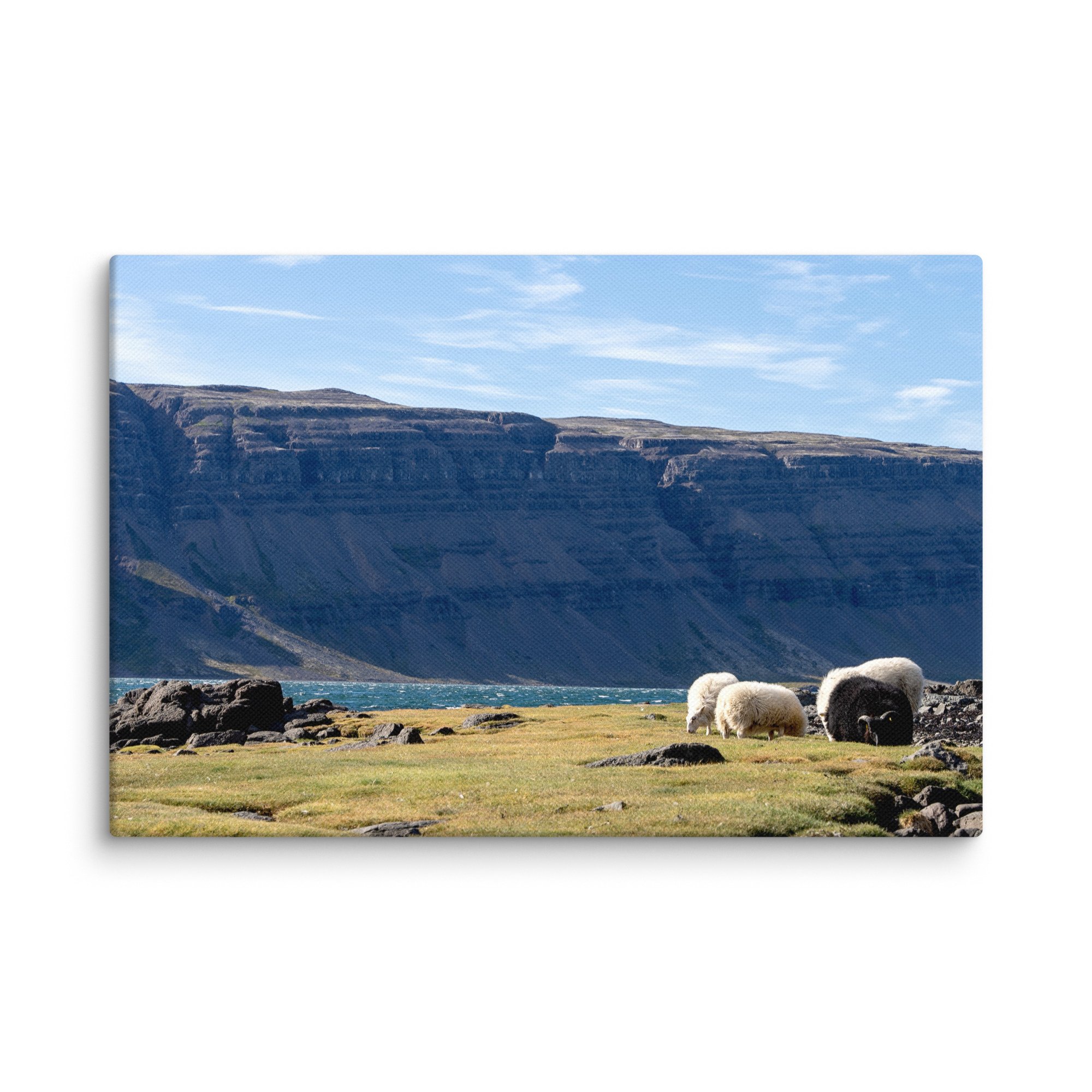 canvas-(in)-12x18-wall-67473981743b8.jpg