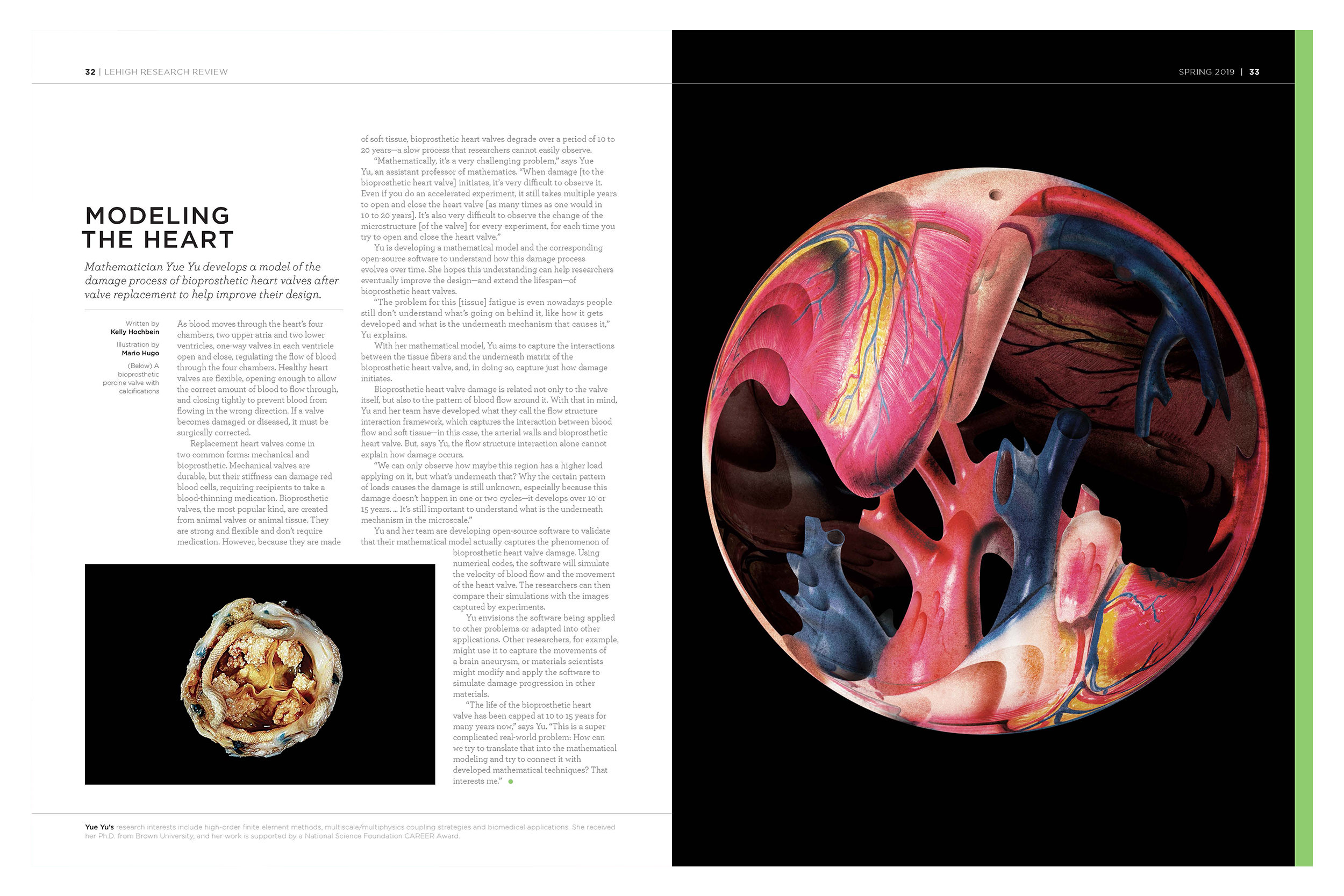 My role: Image selection for licensing | Artwork (right): Mario Hugo