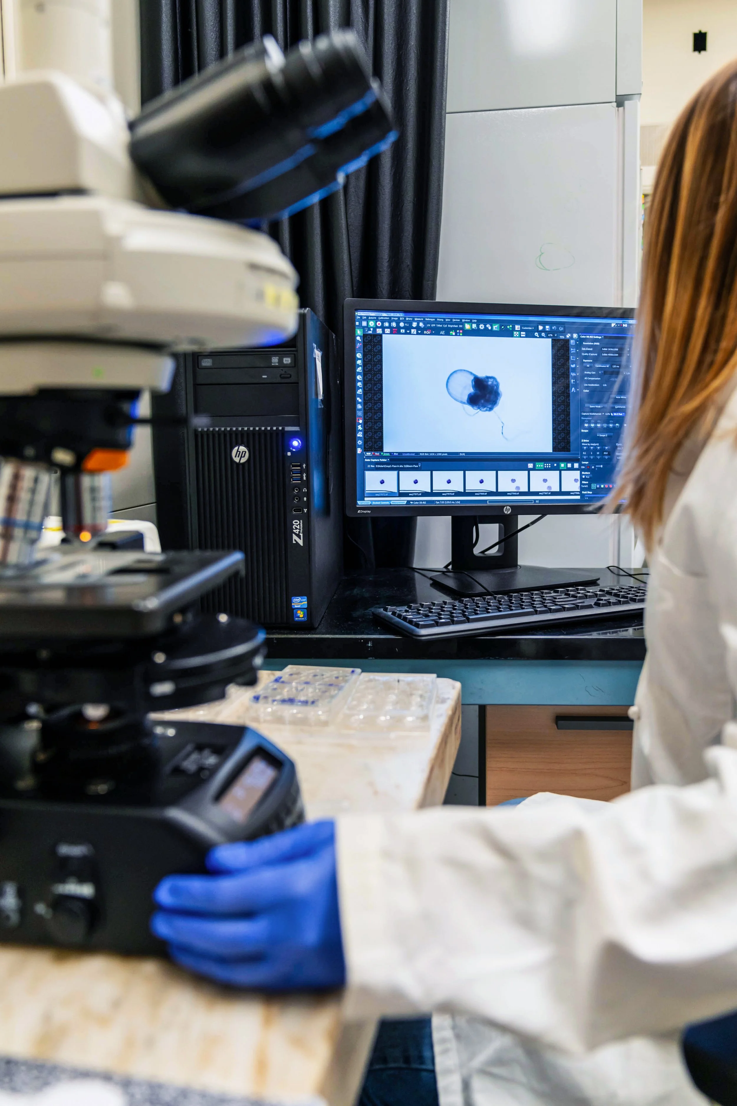 NehaKavan_Research_Lehigh-University_Layden-Lab_Researcher.jpg
