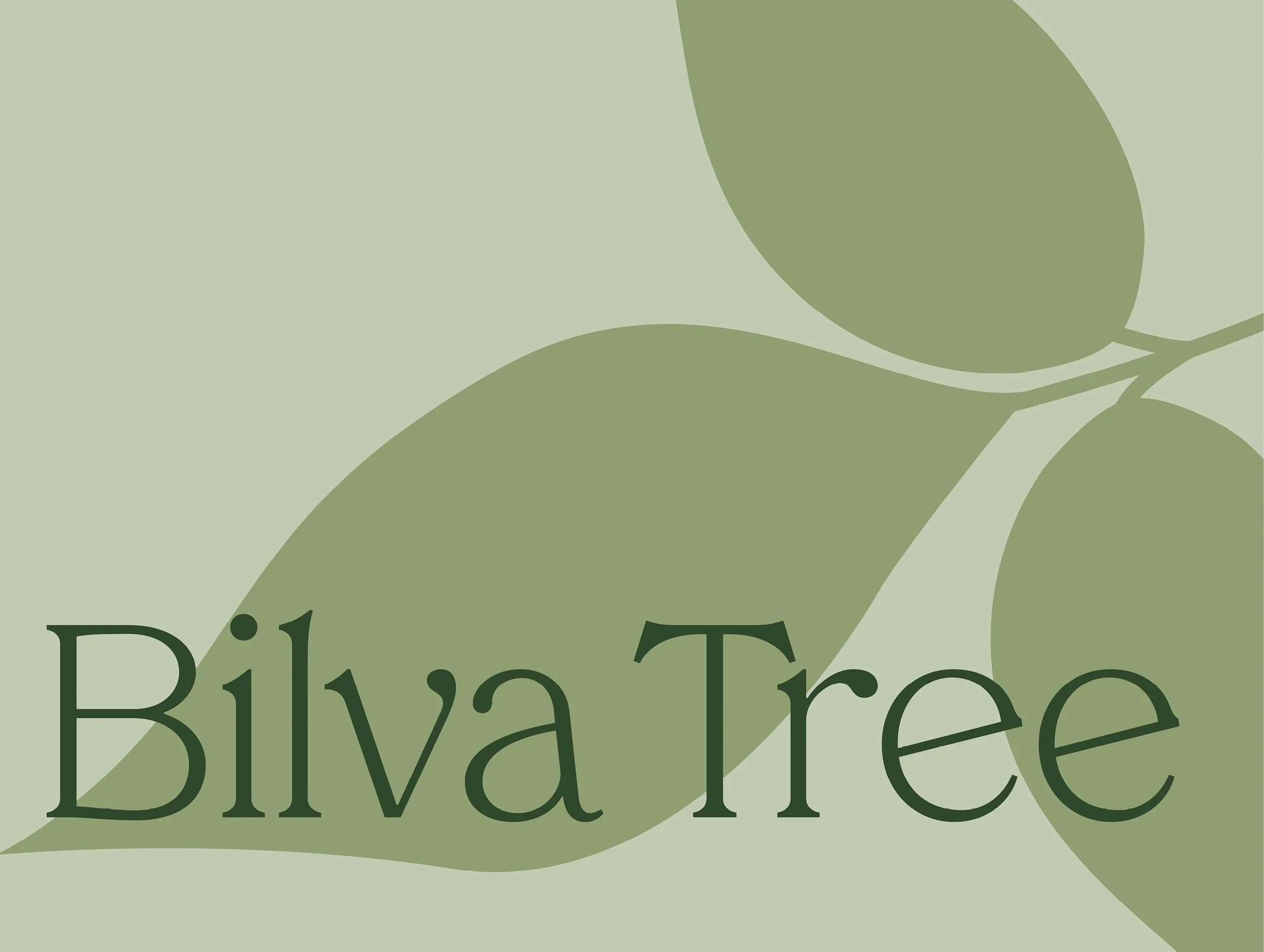 Bilva Tree