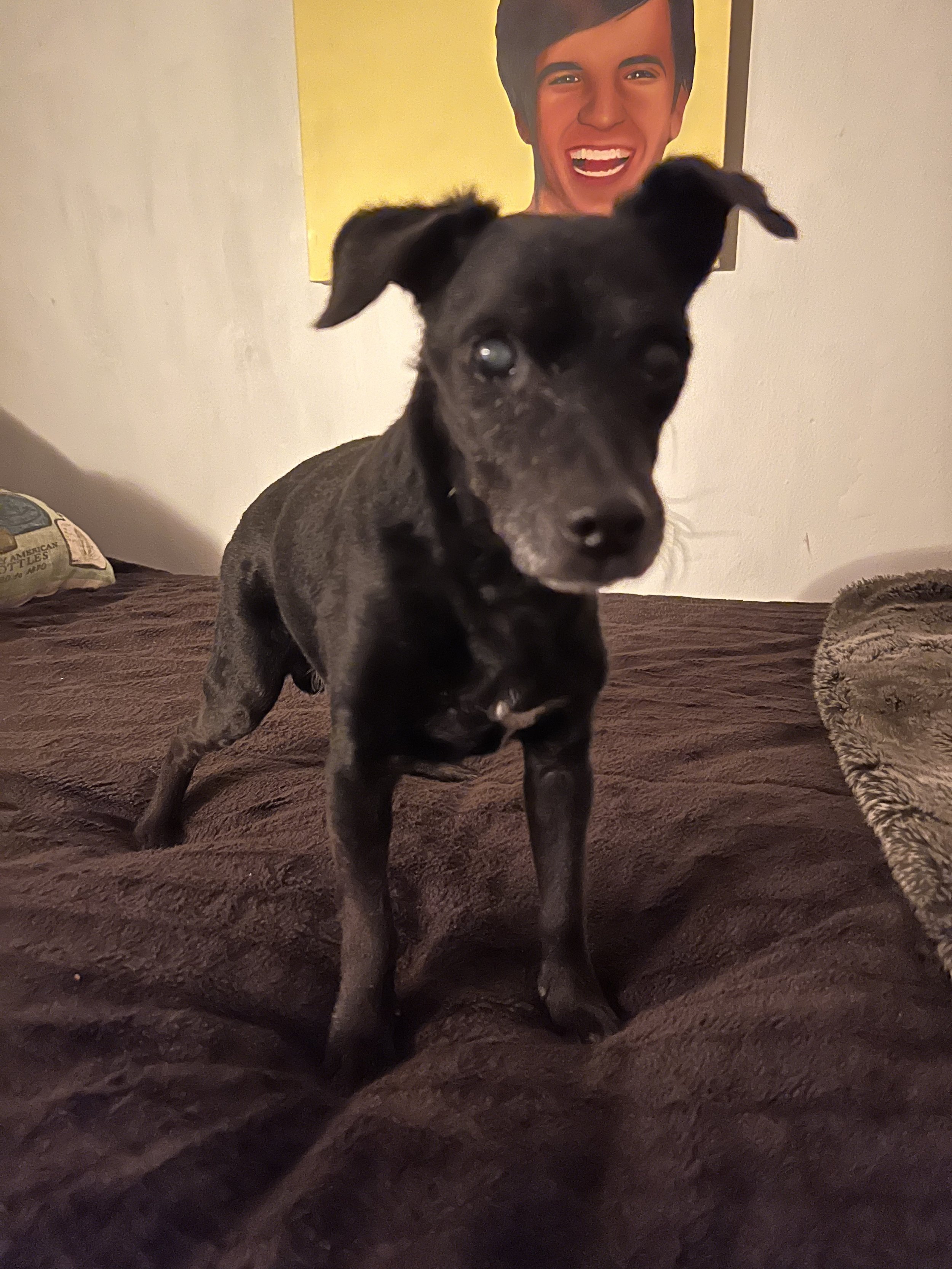 Donny on the bed.jpeg